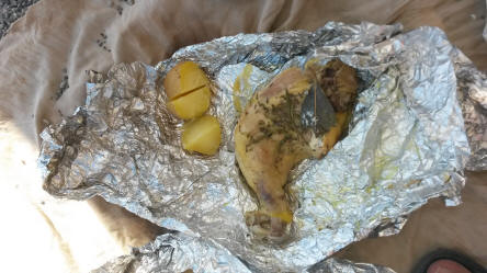 HUHN BEI DER FUMAROLEN ISCHIA